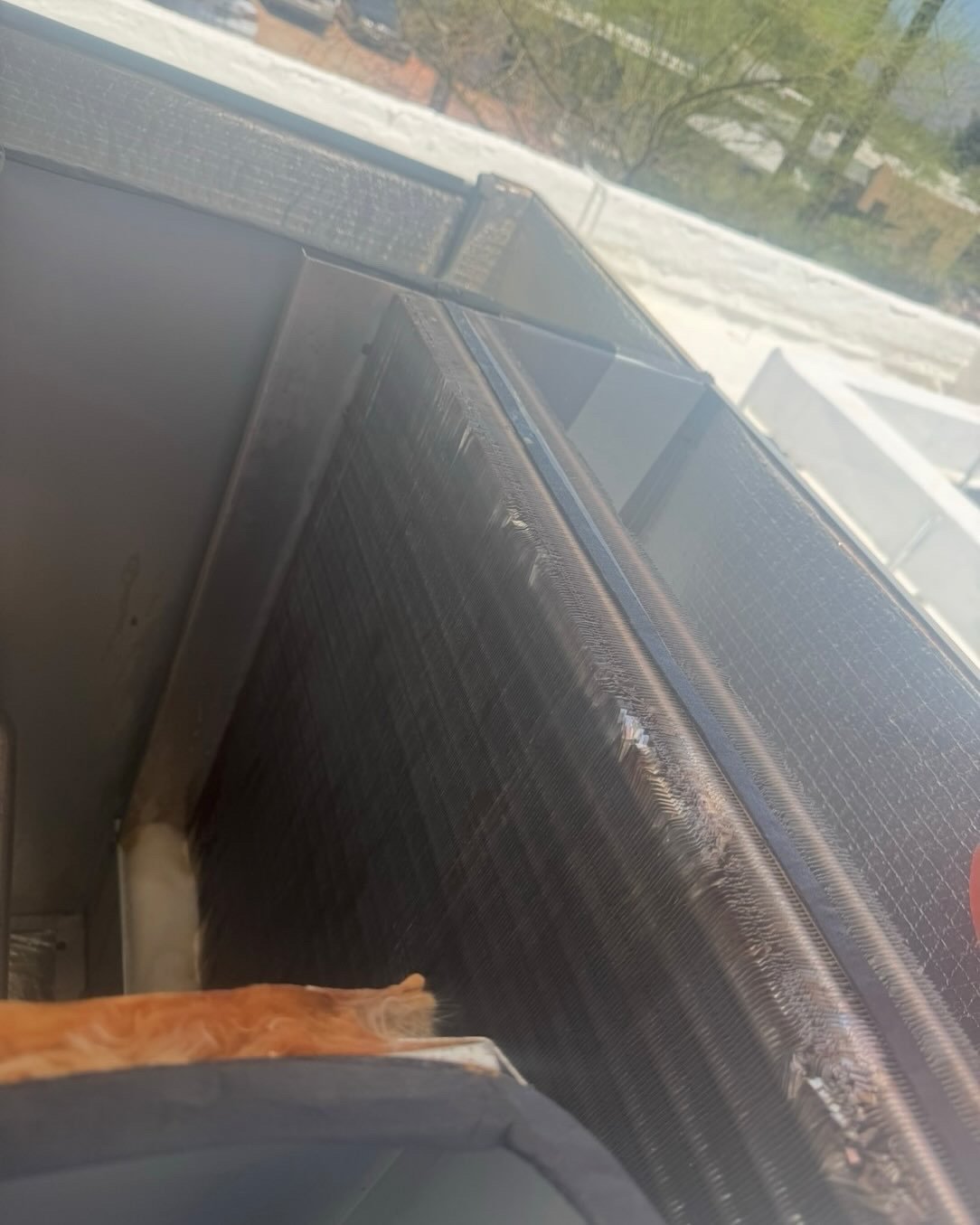 Cleaned evaporator coil after AC maintenance in Tucson home.