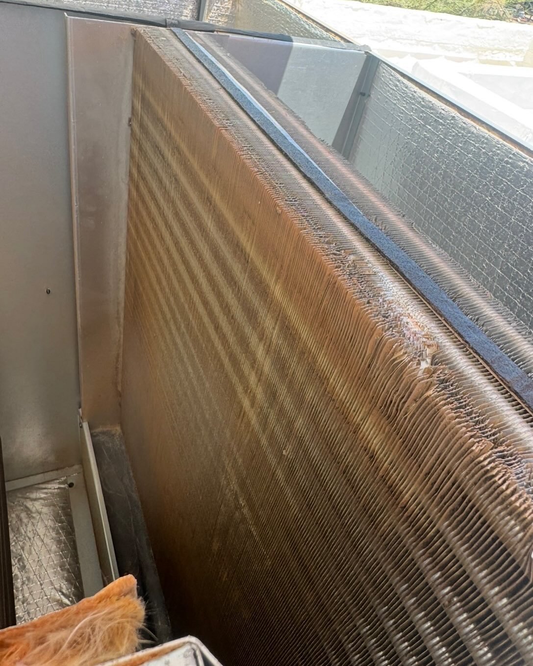 Dirty evaporator coil during AC maintenance in Tucson.