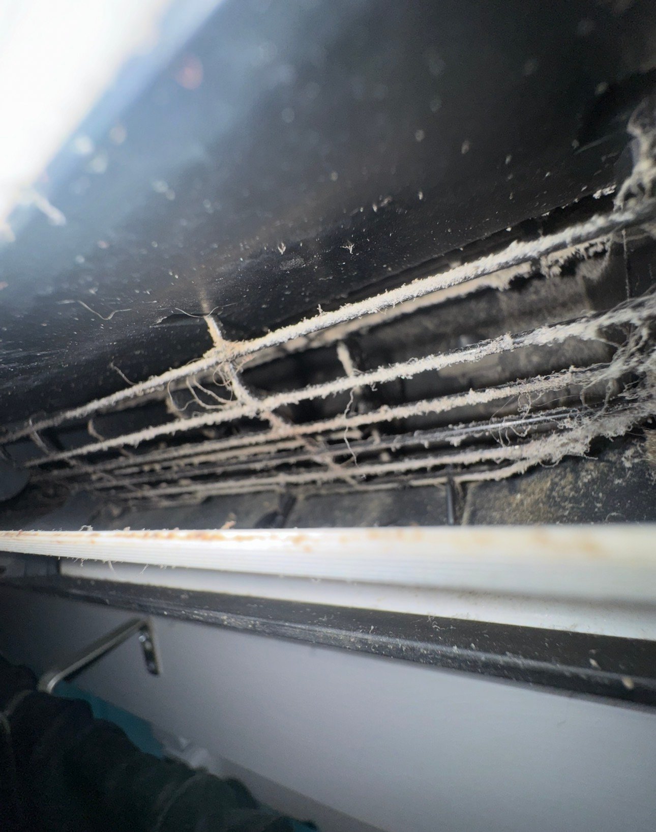 Dirty blower wheel inside a mini-split AC head in Marana, AZ